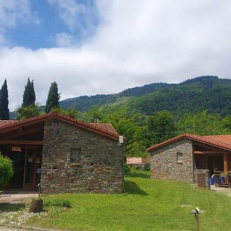 Chalets A 10 Minutes De Foix Mercus-Garrabet Luaran gambar